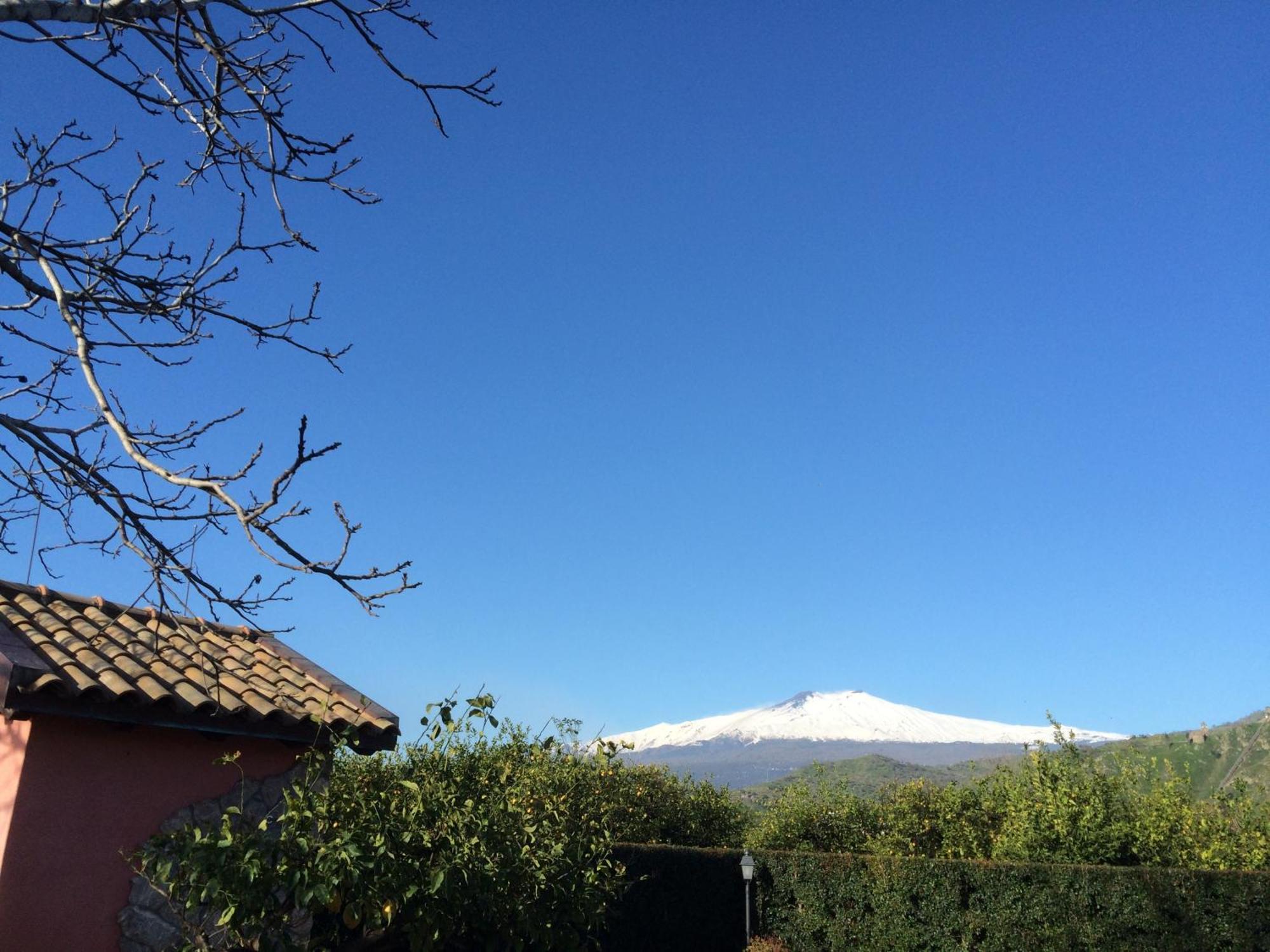 Il Giardino Segreto Bed and Breakfast Trappitello Δωμάτιο φωτογραφία