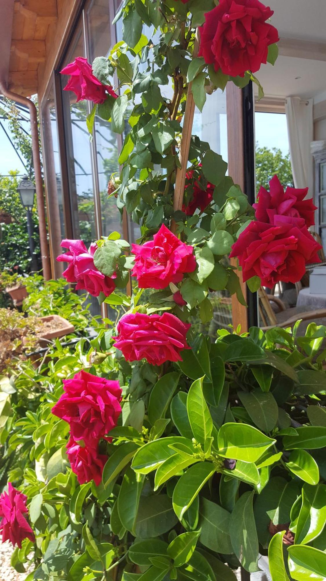 Il Giardino Segreto Bed and Breakfast Trappitello Εξωτερικό φωτογραφία